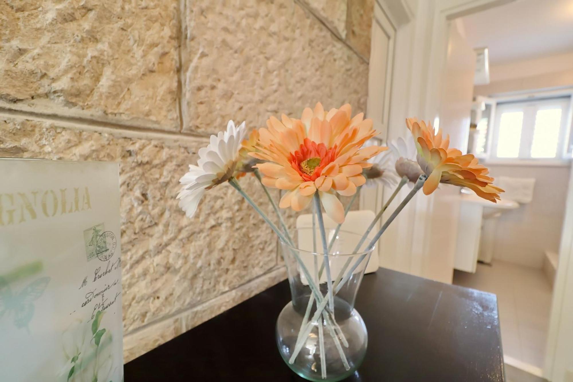 Villa Ivana Zrnovo Buitenkant foto